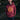 Duster Wreath Pullover Hood - Toxico Clothing