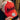 Rednek Ink Trucker Hat
